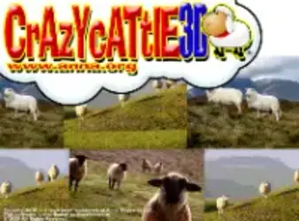 Crazy Cattle 3D